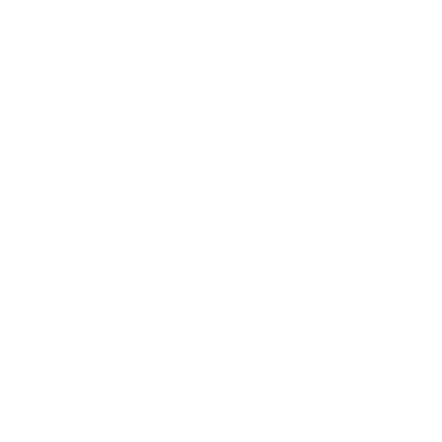 Euro-Star